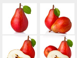 水果集合大全 從高清圖片到設(shè)計(jì)模板的完整指南