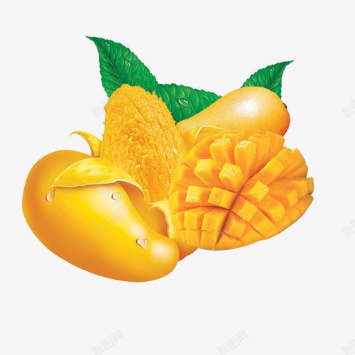 熱帶靈感 融合新鮮水果與綠葉的設(shè)計(jì)素材寶庫