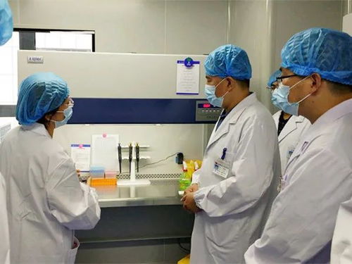 我市四家核酸檢測實(shí)驗(yàn)室全部建成投用，日最高檢測能力近五千人份